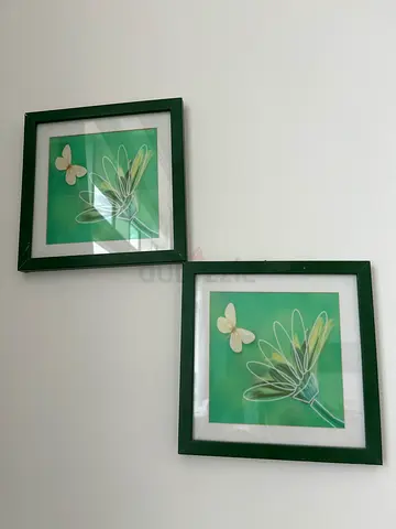 Green Wall Decorations (Art and Plants)