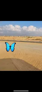 For sale: Residential land in Rawdat Al Qurt area.