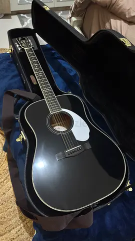 Electric Acoustic Guitar