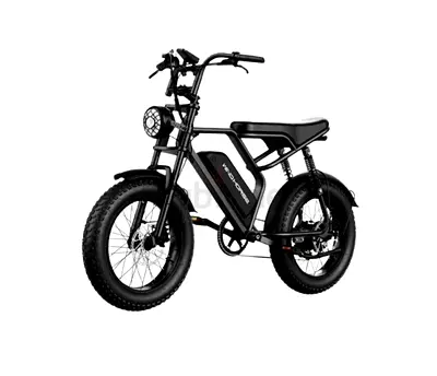 Big Size Electric bike With 1Year Warranty