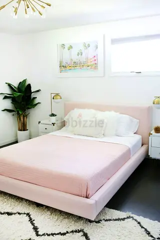 Elegant Beautiful 160*200 Queen Bed