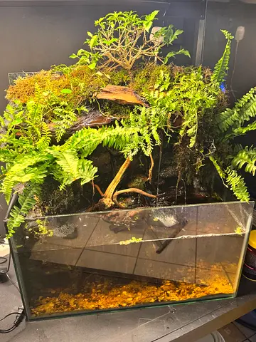 Beautifully Designed Aquatic Terrarium 60x60x25cm