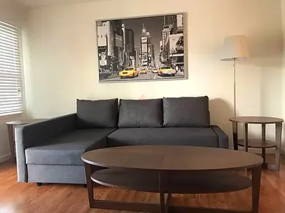 Stylish Grey Sectional Sofa bed with