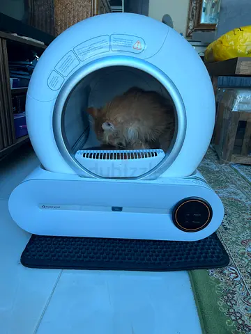 Self Cleaning Smart Cat Litter Box (Purifycat Brand)