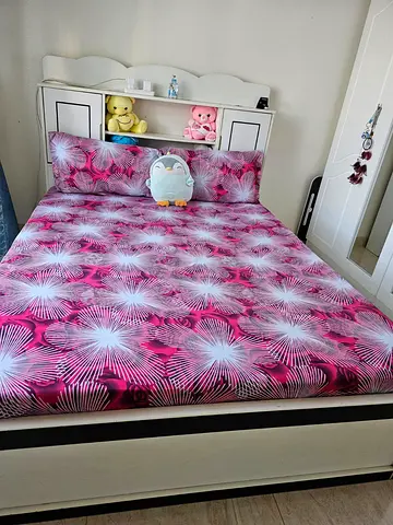 Furnished Room for One Girl