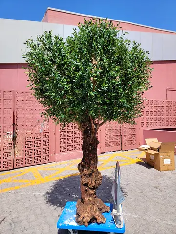 Artificial Olive Tree 2.5M with Real Trunk | Large Fake Tree Dubai UAE Villa Decor