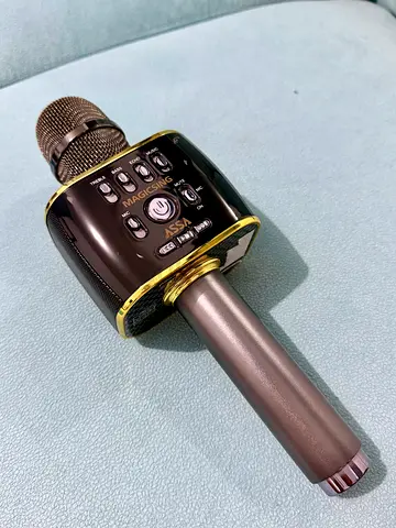 Portable Karaoke Microphone with Built-in Speaker