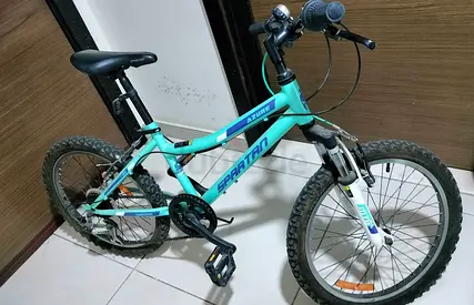 Spartan Kids Mountain Bike - Excellent Condition