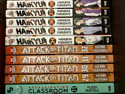Collection of Manga Volumes