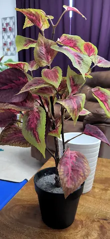 IKEA Artificial plant