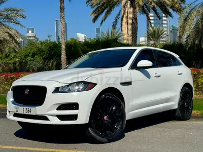 | NO DEPOSIT | Free Delivery | Tabby