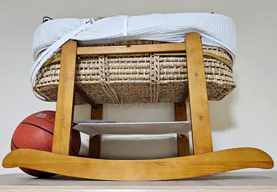 Cozy Baby Bassinet with Rocking Feature