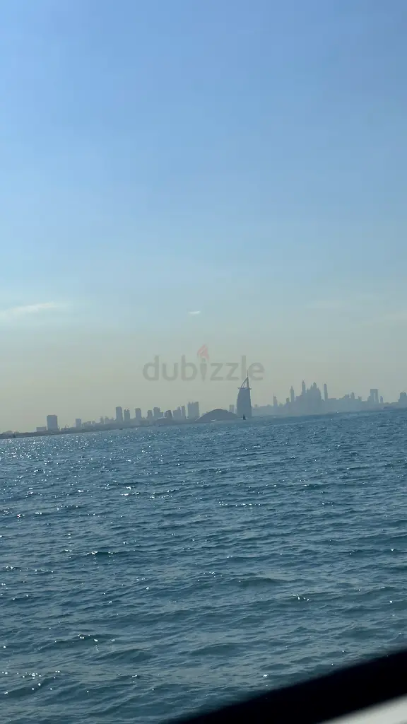 DPV_View_Image_0