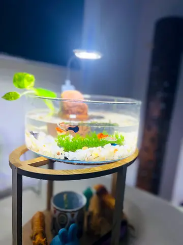 Aquarium