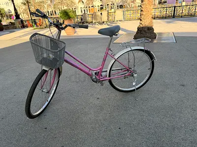 Charming Pink Bicycle with Basket