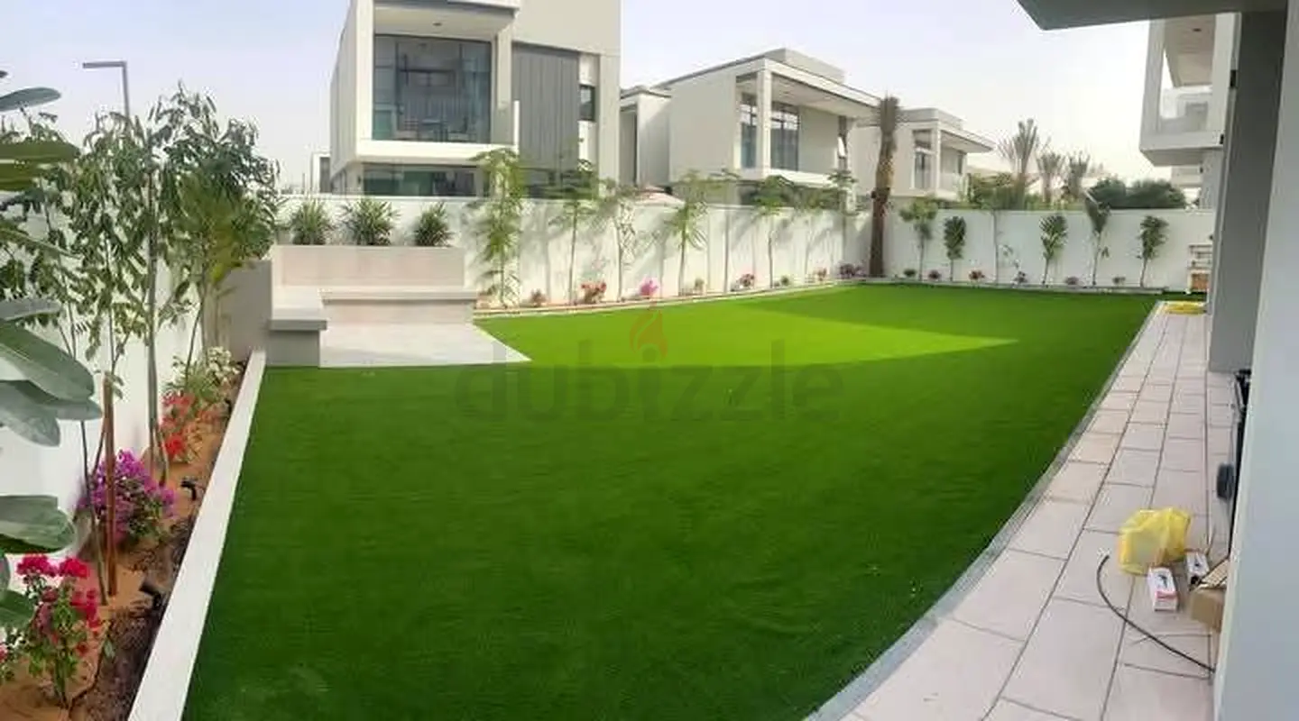 DPV_View_Image_3