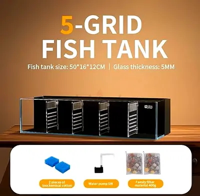 Ultra White Glass Betta Fish Tank | 5-Partition | Built-in Filter/Sump