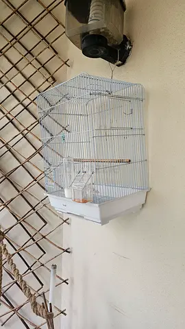 Canary Bird Cage for Sale