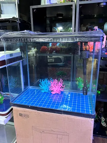 Beautiful 60cm Curved glass Aquarium