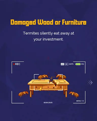 Pest control service