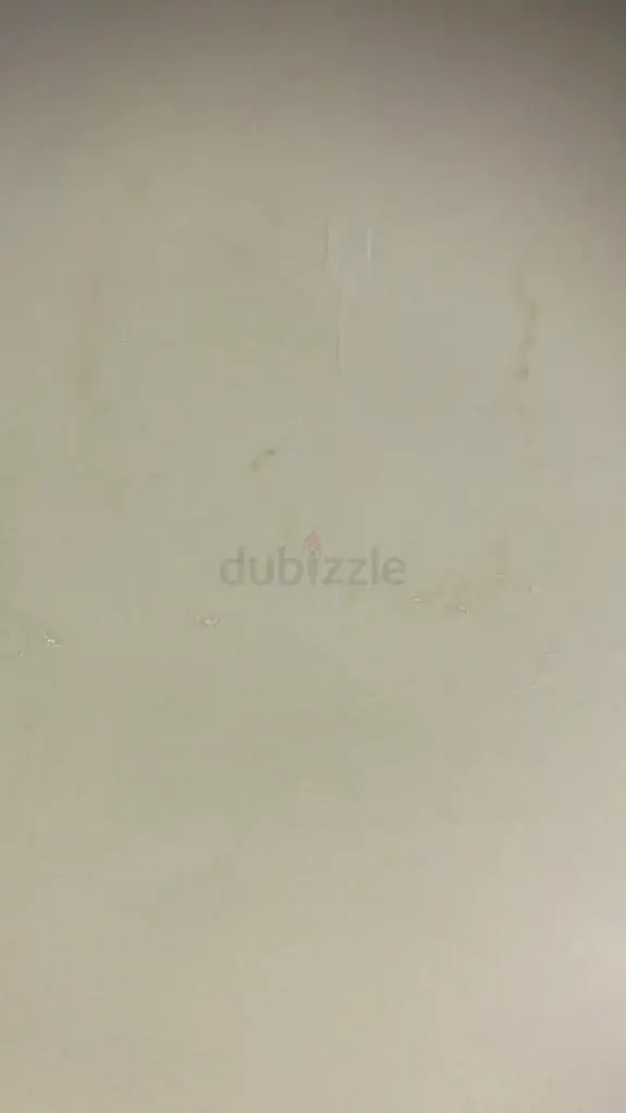 DPV_View_Image_1
