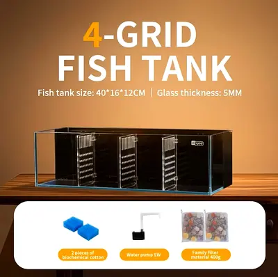 Ultra White Glass Betta Fish Tank | 4-Partition | Built-in Filter/Sump