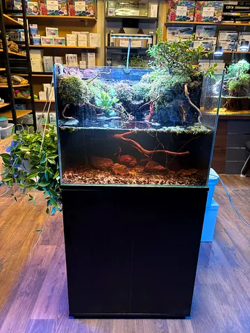 Elegant Aquascaping Aquarium Paludarium 60x45x45cm