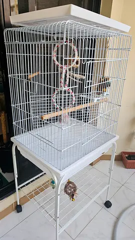 Parrots- Large Bird Cage with Accessories for Sale