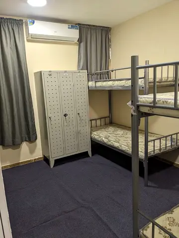 Elegant Shared Living for Ladies , Diera