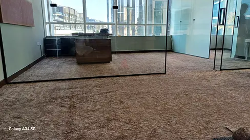 Elegant Modern Office Carpet