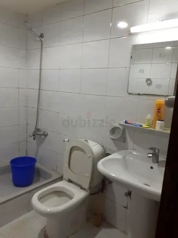 BED SPACE in Deira AED 550