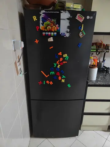 Lg bottom freezer top fridge