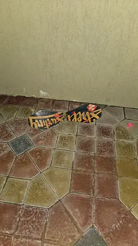 Rip stick 2 wheel skateboard