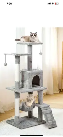Cat hometree