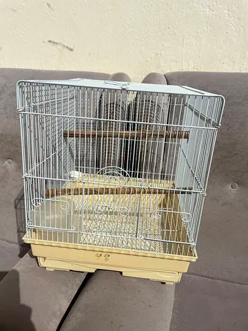 BIRD CAGE