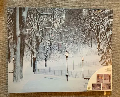 Light up winter picture frame