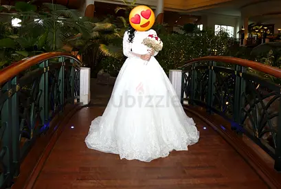 Elegant Long Sleeve Wedding Dress with Veil