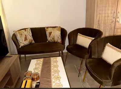 Stylish Modern Velvet Accent Chairs Set