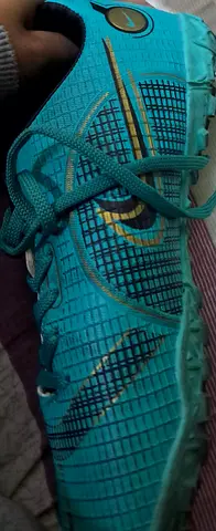 القاسميه المحطه