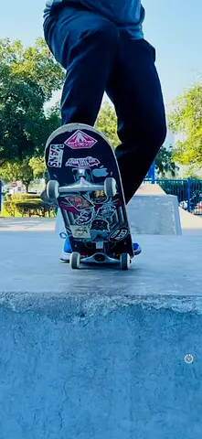 Tony Hawk Skateboard, bird house …for cheap
