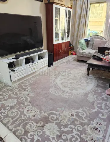 Big Elegant Traditional Area carpets for Sale