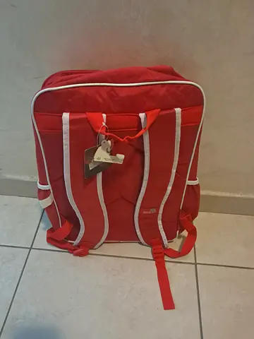 Stylish Red racing Car Backpack for On-the-Go Parents