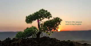 Eco-friendly living | nature-inspired | strong community