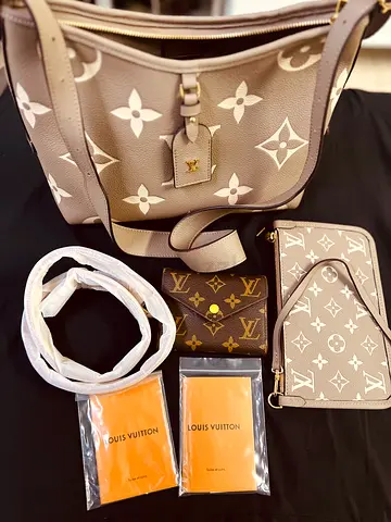 LV Women’s hand bag