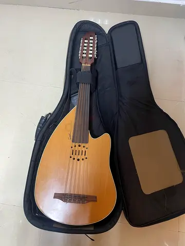 Godin Electric Oud
