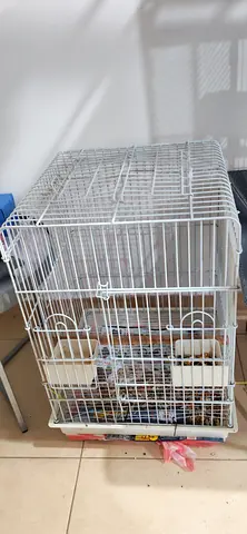 Sturdy Bird Cage for Sale