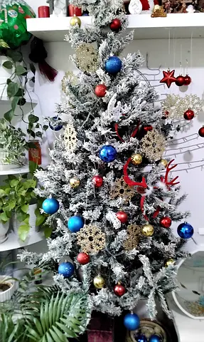 Christmas Tree with ornaments
