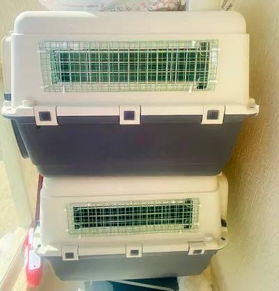 IATA Approved Cat Carriers