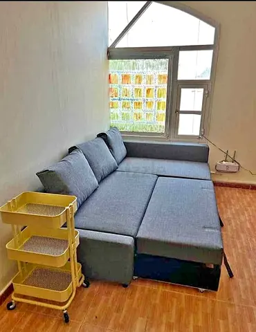 Comfortable Modular Sofa bed with Contemporary Design