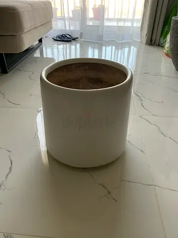 Stylish White Plastic Planter